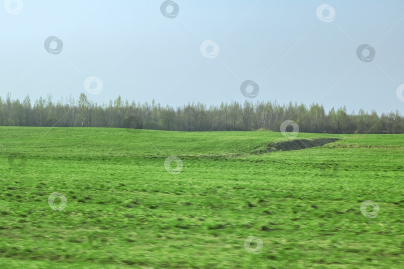 Скачать Зеленая трава на солнечном поле, весенний пейзаж фотосток Ozero