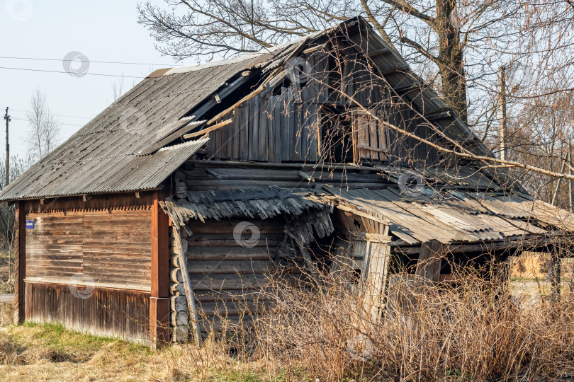 Скачать Старый деревянный разрушенный дом среди кустов и травы фотосток Ozero