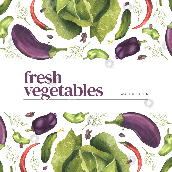 Скачать Свежие овощи. Акварельная иллюстрация продуктов и ароматных трав. Дизайн баннера на тему здорового питания, сбора урожая, вегетарианских покупок фотосток Ozero