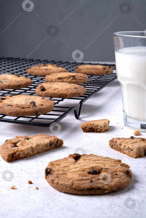 Скачать Выпекайте овсяное печенье с шоколадной крошкой на металлической решетке для охлаждения и молоком в стакане. фотосток Ozero
