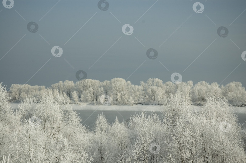 Скачать Иней фотосток Ozero