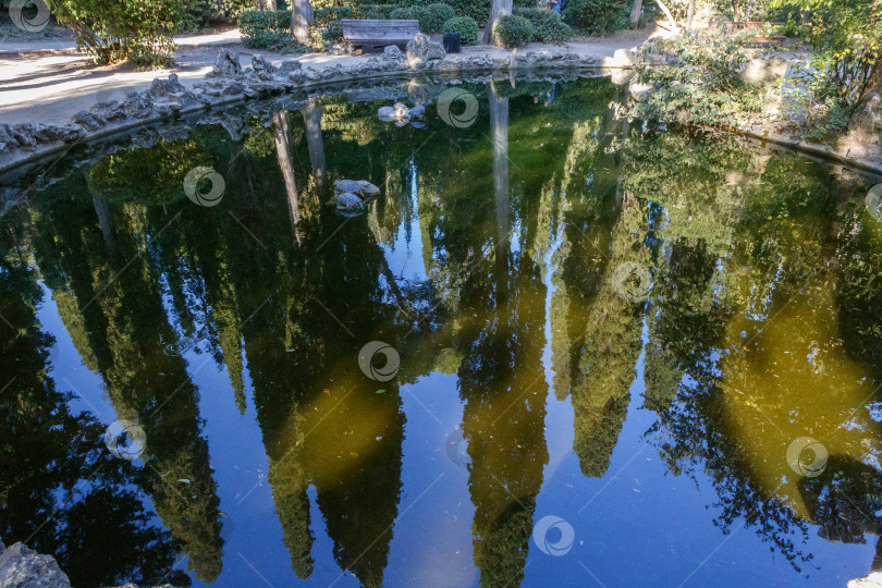 Скачать Черепаший пруд в Массандровском парке фотосток Ozero
