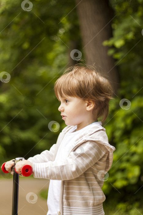 Скачать Дошкольник мчится на самокате по парку. Малыш в парке в солнечную погоду. Мальчик весело гуляет по парку фотосток Ozero