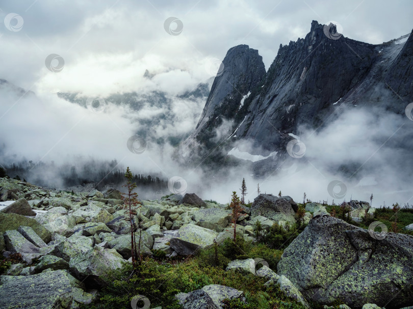 Скачать Мрачные горы. Острый пик среди облаков. Замшелый курумник фотосток Ozero