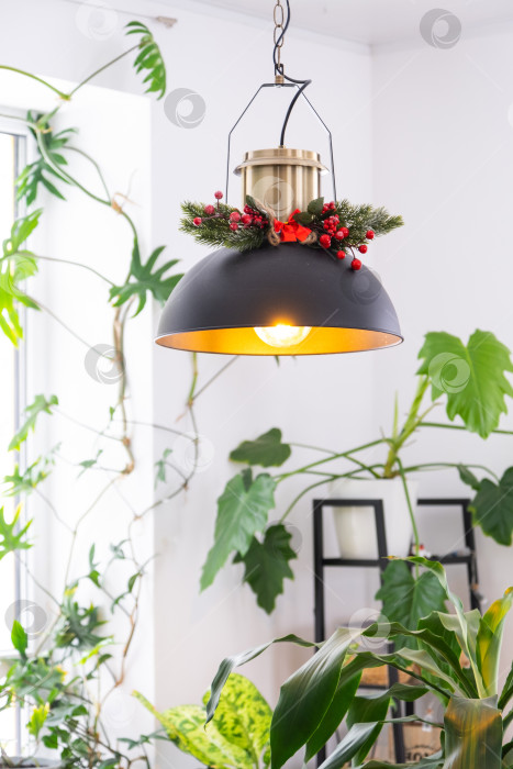 Скачать Черный ретро-металлический абажур в стиле лофт с рождественским декором и множеством комнатных растений на окне в белом интерьере. Новый год, домашний уют фотосток Ozero