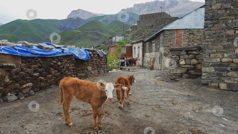 Скачать Горное село Хыналыг, Губинский район, Азербайджан фотосток Ozero