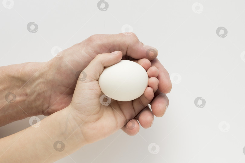 Скачать Рука ребенка и взрослого, держащих яйцо фотосток Ozero