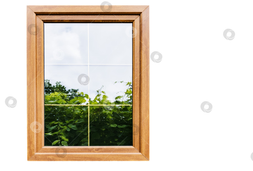 Скачать Пластиковые ламинированные окна с перегородками в стеклопакетах фотосток Ozero