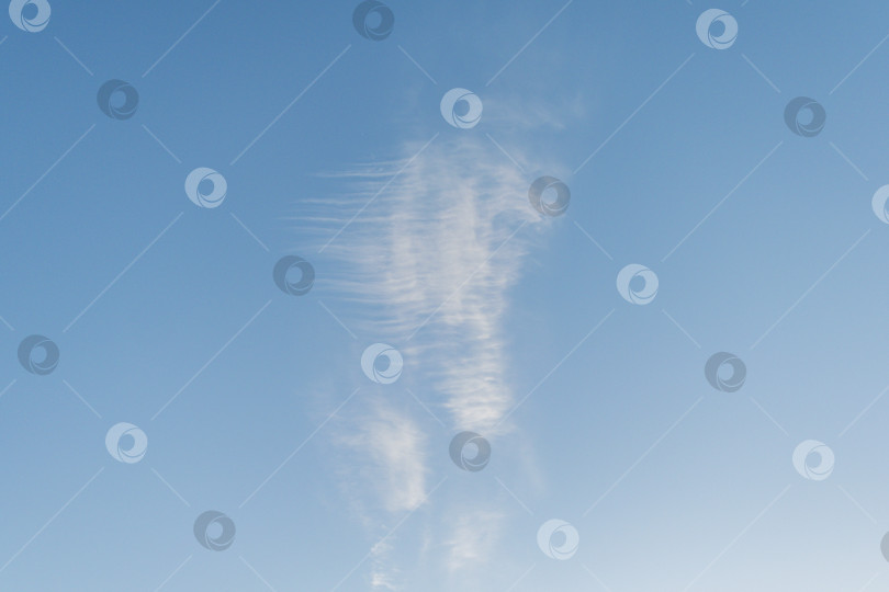 Скачать Маленькое белое облачко на небе фотосток Ozero