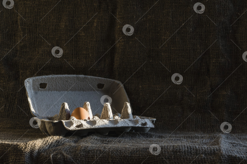 Скачать Поднос для яиц с одним яйцом фотосток Ozero