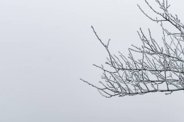 [object Object] undefined