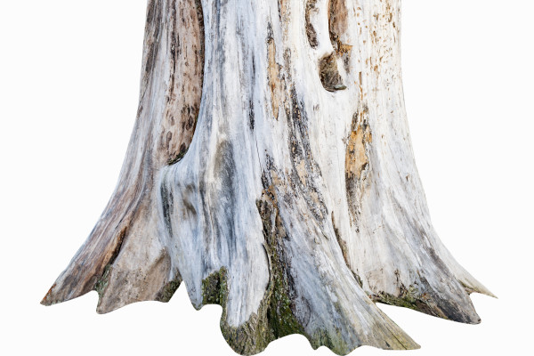 [object Object] undefined