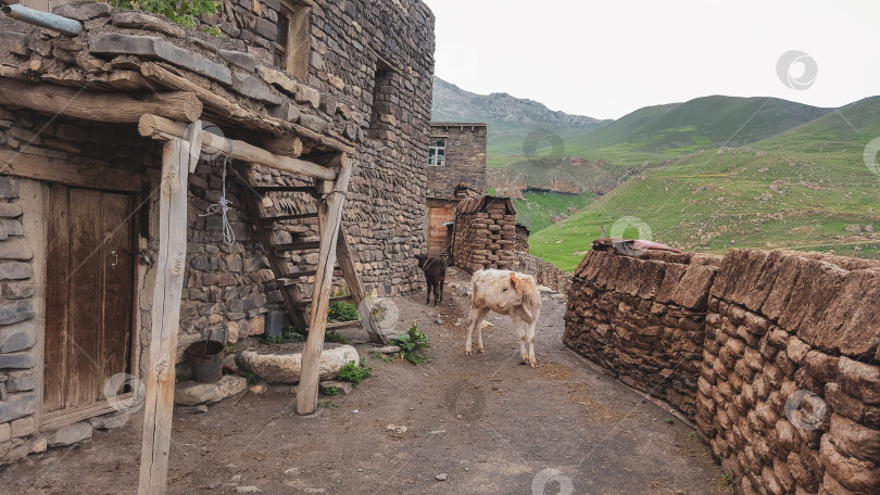 Скачать Улочка в горном селе Хыналыг, Азербайджан фотосток Ozero