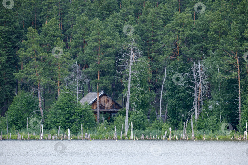 Скачать река на переднем плане и старинный русский деревянный деревенский дом в сосновом бору фотосток Ozero