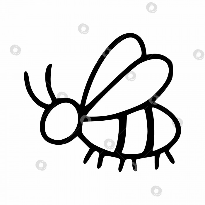 Скачать Милая пчелка в стиле каракули. Книжка-раскраска для детей с пчелой. Карточки с насекомыми для занятий с детьми. фотосток Ozero