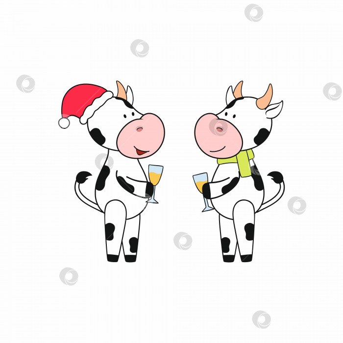 Скачать Два симпатичных бычка в шапке Санта-Клауса и с шампанским празднуют Новый год и веселятся. Символ 2021 года по китайскому календарю. Векторная наклейка для поздравительных открыток, поздравлений, приложений фотосток Ozero