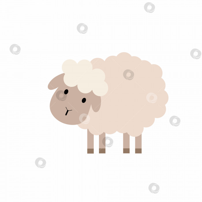 Скачать Милая овечка в мультяшном стиле. Детская иллюстрация с изображением овцы. Векторный питомец. фотосток Ozero