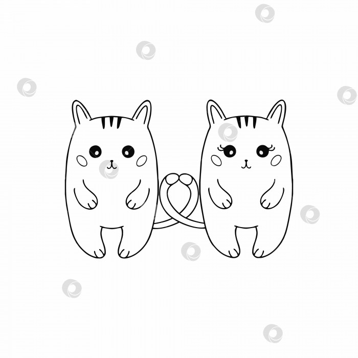 Скачать Два любящих котенка, нарисованных в стиле каракули. Рисунок котенка от руки. Иллюстрация ко дню святого Валентина. Книжка-раскраска для детей. фотосток Ozero