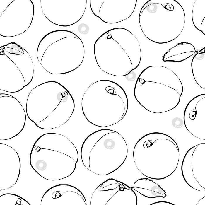 Скачать Набор бесшовных узоров из абрикосов, фруктов и листьев. 1000x1000. Векторная графика фотосток Ozero
