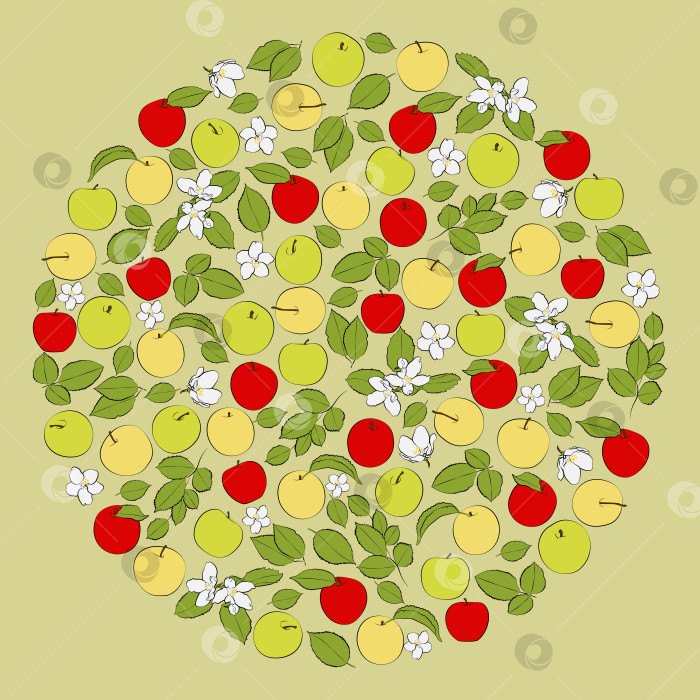 Скачать Набор цветных яблок по кругу. Векторная графика фотосток Ozero