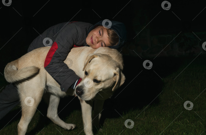 Скачать Маленький мальчик играет с собакой в темноте фотосток Ozero