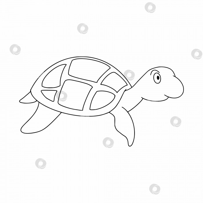 Скачать Морская черепаха, нарисованная в стиле ручного рисования. Книжка-раскраска для детей с морскими обитателями. Векторная иллюстрация в стиле каракули. фотосток Ozero