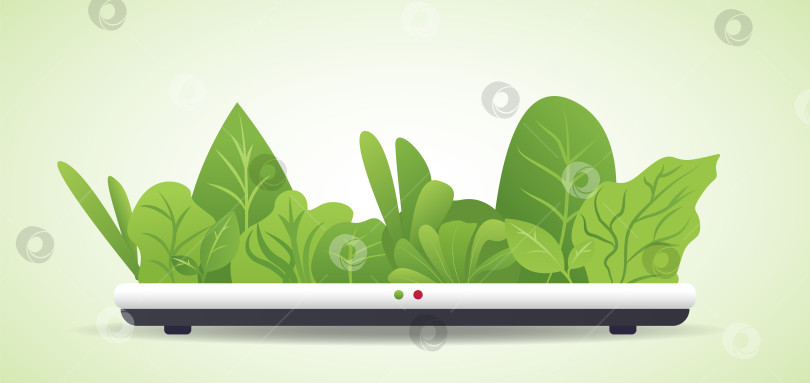 Скачать Портативная гидропонная аэропонная система для экологически чистого выращивания зеленого салата, овощей и зелени фотосток Ozero