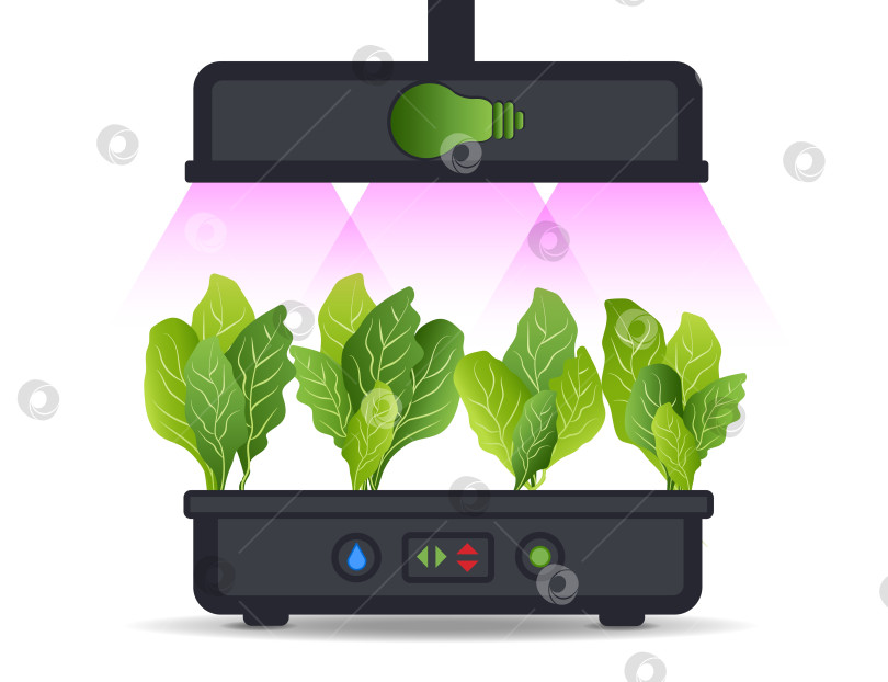 Скачать Портативная гидропонная аэропонная система для экологически чистого выращивания зеленого салата, овощей и зелени. С автоматической системой полива и фиолетовым фитоосвещением. Фитолампа фотосток Ozero