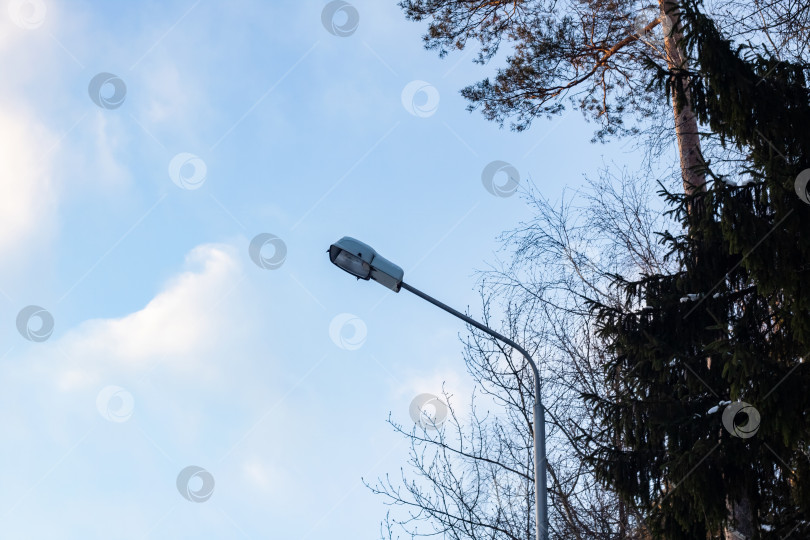 Скачать Деревья и уличный фонарь на фоне неба и облаков фотосток Ozero