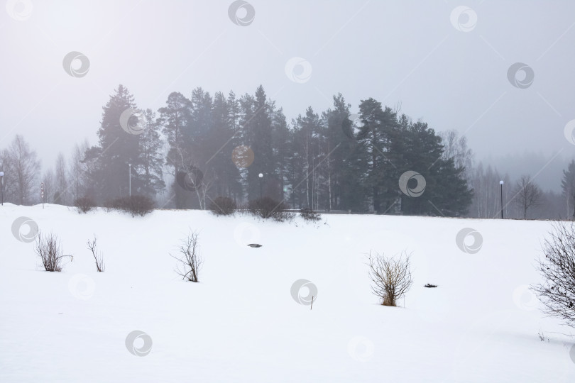 Скачать Зимний пейзаж в сельской местности, снег на деревьях фотосток Ozero