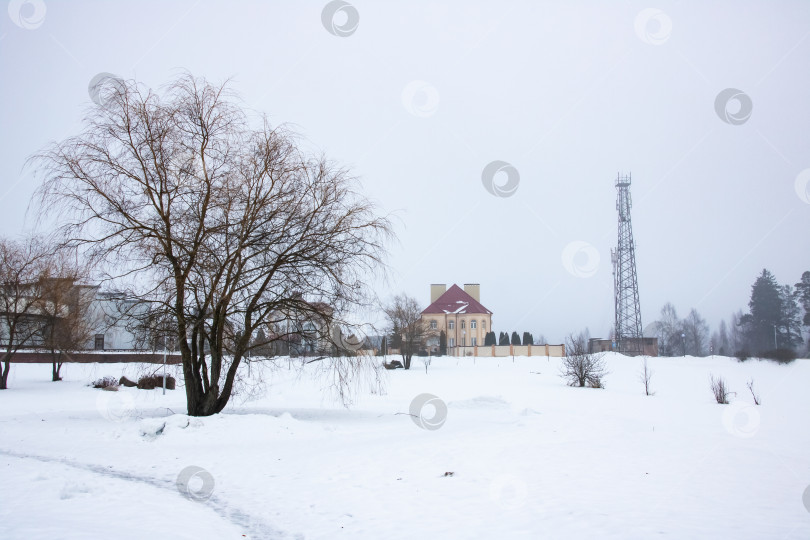 Скачать Зимний пейзаж в сельской местности, снег на деревьях фотосток Ozero