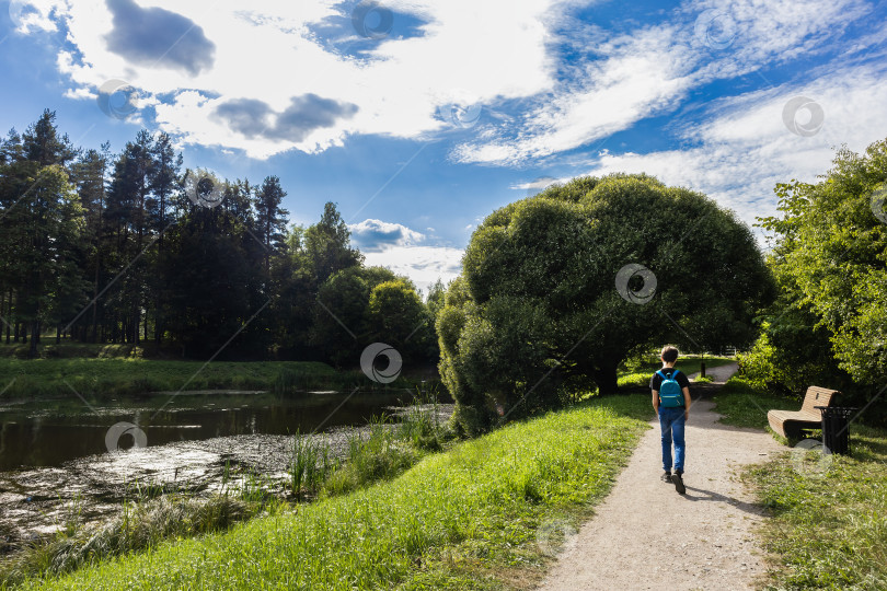 Скачать Мальчик гуляет по тропе в парке мимо реки в солнечный день, вид со спины фотосток Ozero