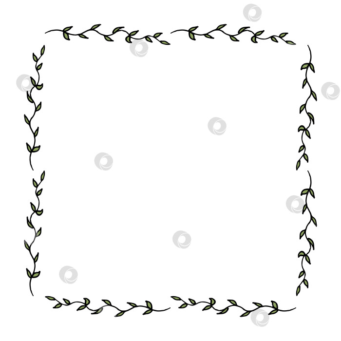 Скачать Квадратная рамка с ветвями с зелеными листьями на белом фоне. Векторное изображение. фотосток Ozero