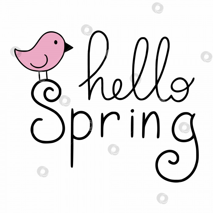 Скачать Надпись "Здравствуй, весна" и милая птичка. Надпись для первого дня весны. Красивая фраза для оформления открытки. фотосток Ozero
