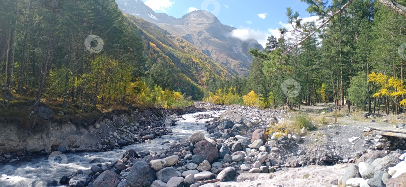 Скачать Горная река в лесу. фотосток Ozero