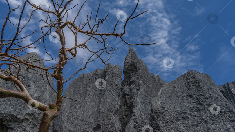 Скачать Серые карстовые известняковые скалы на фоне голубого неба. фотосток Ozero