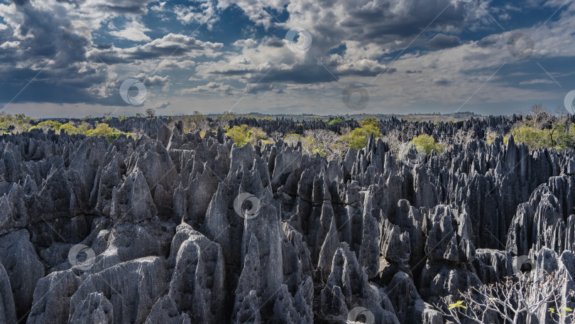Скачать Невероятный пейзаж Мадагаскара. фотосток Ozero