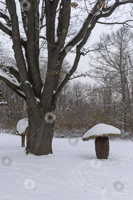 Скачать Забавные парковые скульптуры (огромные грибы, сделанные из веток), покрытые снегом. фотосток Ozero