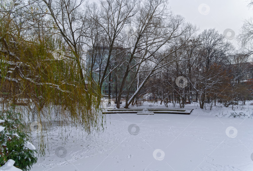 Скачать Заснеженный замерзший пруд в парке. фотосток Ozero