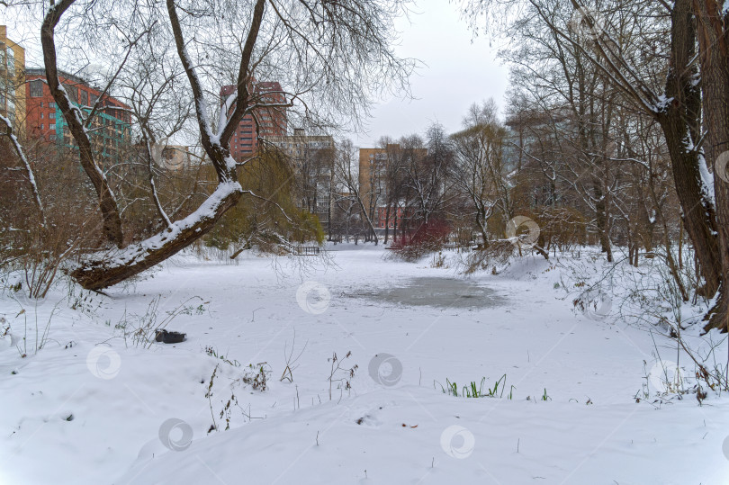 Скачать Заснеженный замерзший пруд в парке. фотосток Ozero