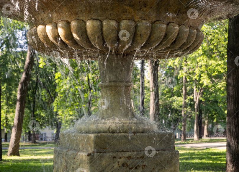 Скачать Фантан крупным планом на фоне зеленых деревьев парка. Струи воды стекают из вазы фонтана. фотосток Ozero