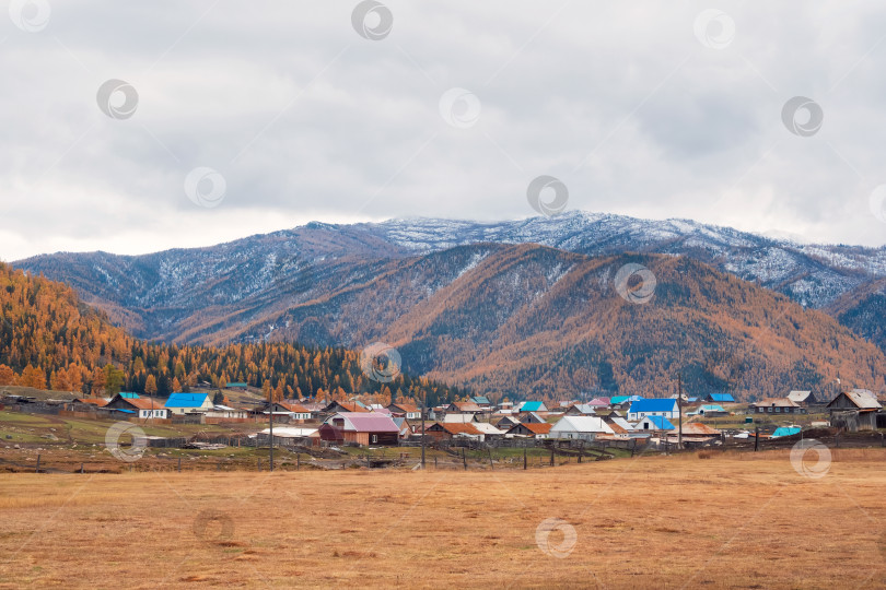 Скачать Осеннее поле перед деревней в горах Алтая. Маленькая деревня под горой. Золотой осенний пейзаж снежного туманного утра в деревне Беляши, Россия фотосток Ozero