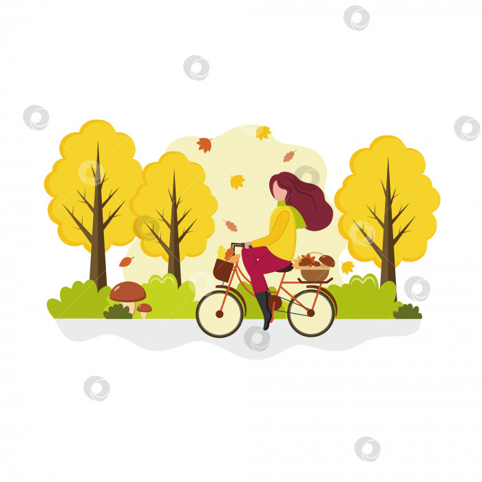 Скачать Девушка едет на велосипеде по осеннему лесу за грибами. Концепция отдыха на свежем воздухе, спорта и здоровья. Векторная мультяшная плоская иллюстрация. фотосток Ozero
