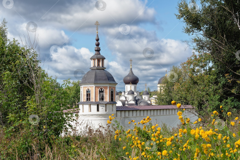 Скачать Жетые цветы на фоне стен Старицкого мужского монастыря. фотосток Ozero