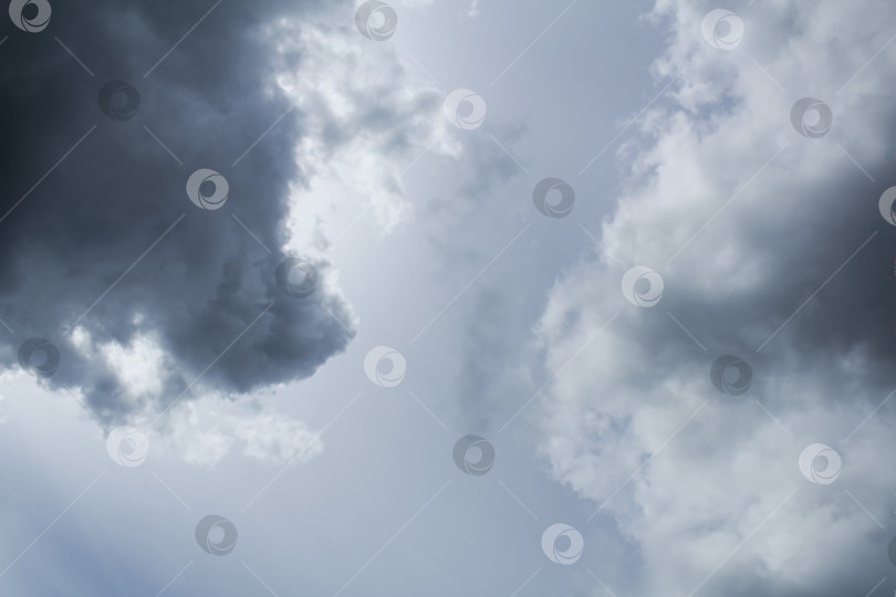 Скачать Серое облачное небо, облако, похожее на голову собаки фотосток Ozero