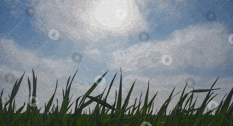 Скачать Крупный план зеленой травы на фоне голубого неба с белыми облаками. Необычный рельефный рисунок. фотосток Ozero