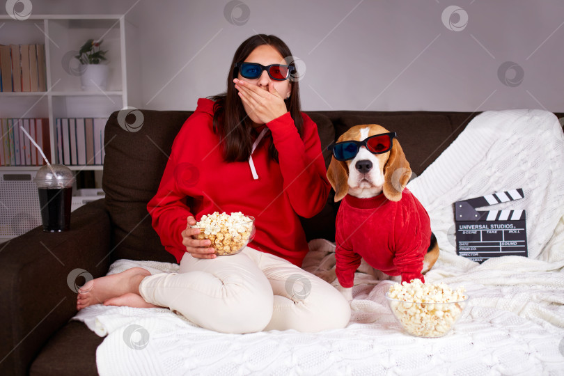 Скачать Молодая девушка со своей собакой бигль в 3d очках смотрит фильм дома фотосток Ozero