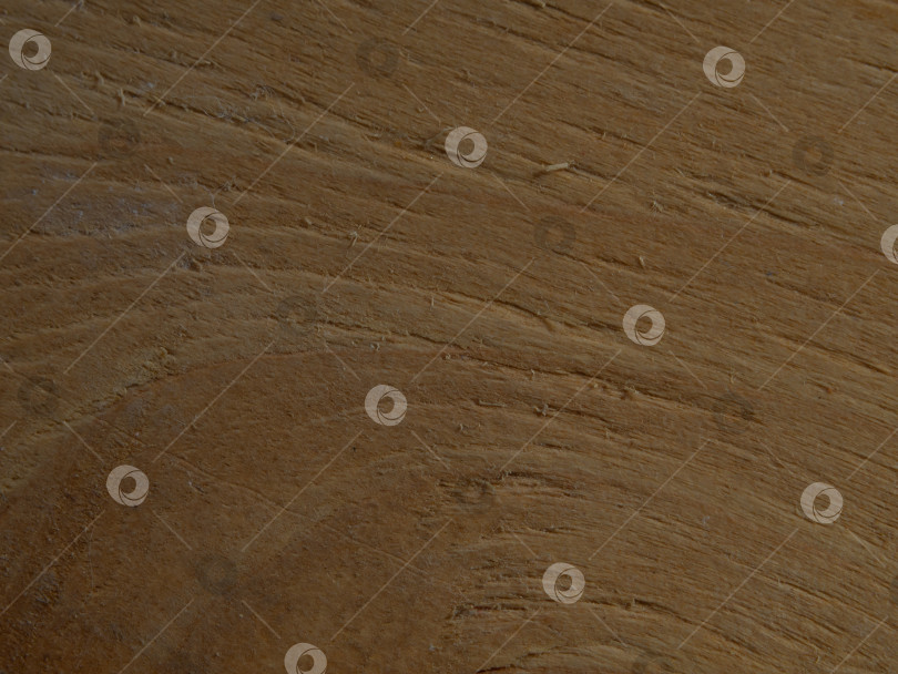 Скачать Текстура дерева Старый шпон Абстрактный натуральный узор фотосток Ozero