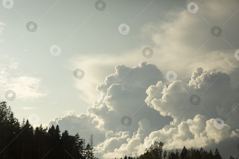 Скачать Грандиозные облака в небе. Грозовые тучи над лесом. Красивые пейзажи летом. фотосток Ozero