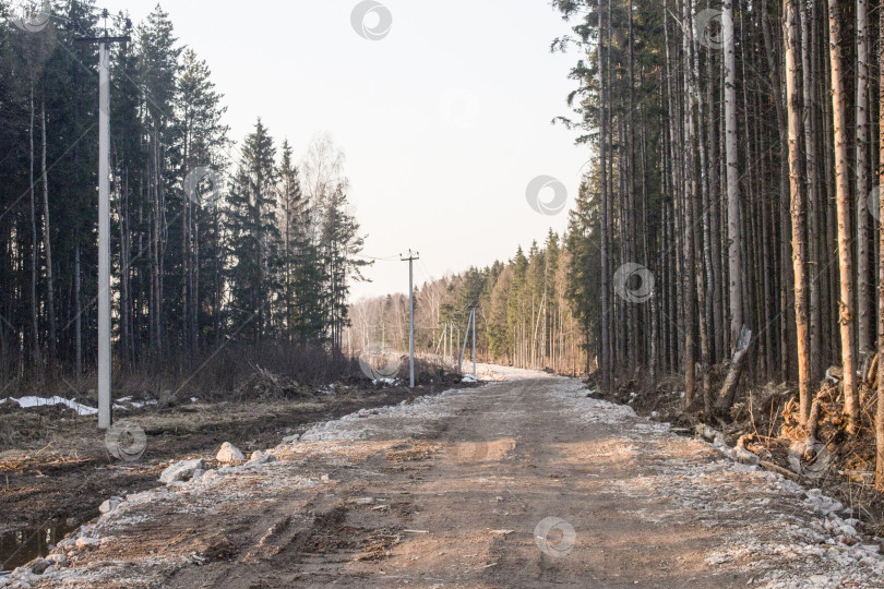 Скачать Дорога в лесу. Шоссе без асфальта. Промышленная дорога к лесопилке. фотосток Ozero